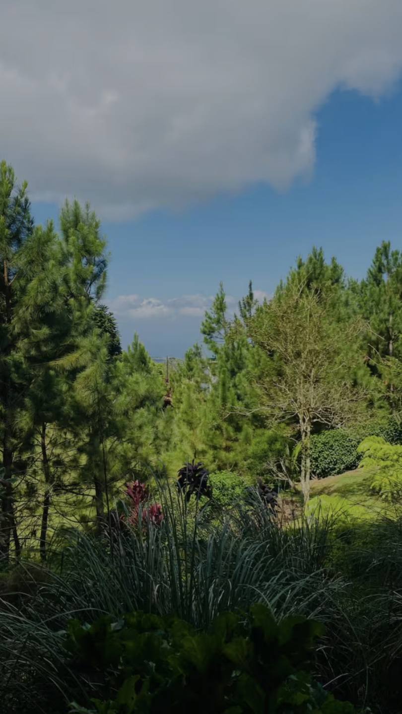 Interior de apartamento estudio en Ciudad Quesada